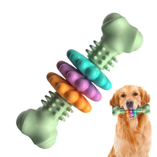 Colorful Bone helps Keeps your Dog Active and Healthy