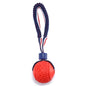 Sturdy Dog Teething Ball with Rope