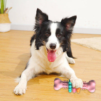 Colorful Bone helps Keeps your Dog Active and Healthy