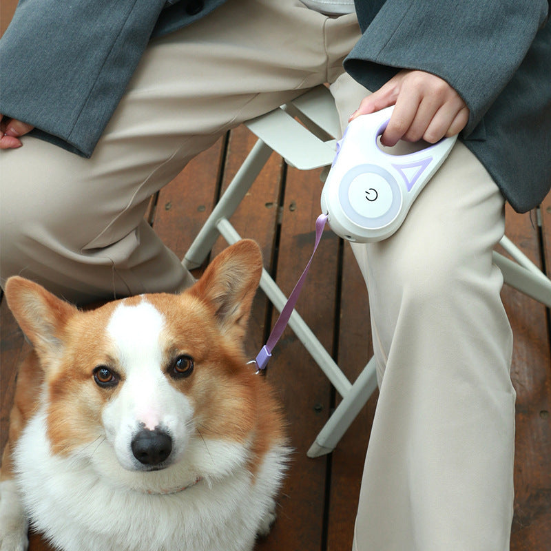 Smart Dog Leash with Built-in Spotlight for Extra Safety