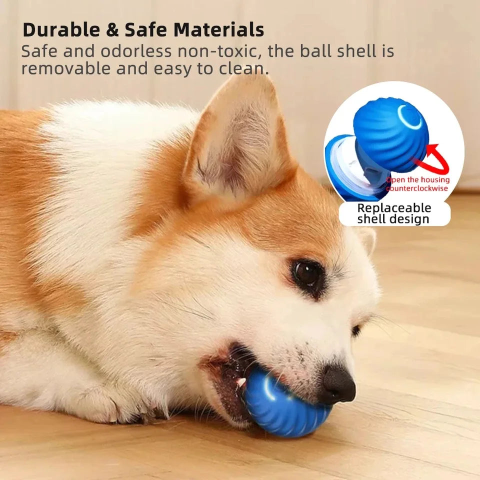 Smart Interactive Dog toy Ball Provides Unpredictable Fun