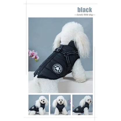 Super Comfy Dog Jacket with Harness Included!