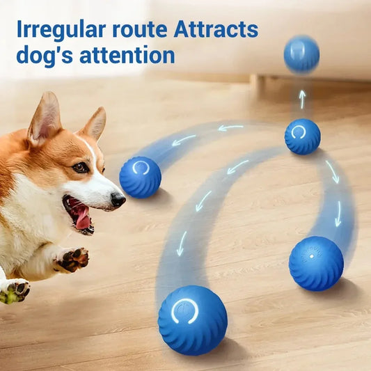 Smart Interactive Dog toy Ball Provides Unpredictable Fun