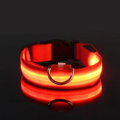 Stylish LED Dog Collar For Extra Nighttime Visibility