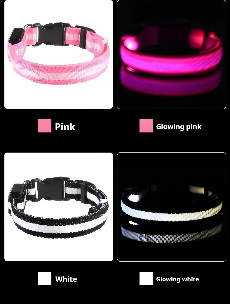 Stylish LED Dog Collar For Extra Nighttime Visibility