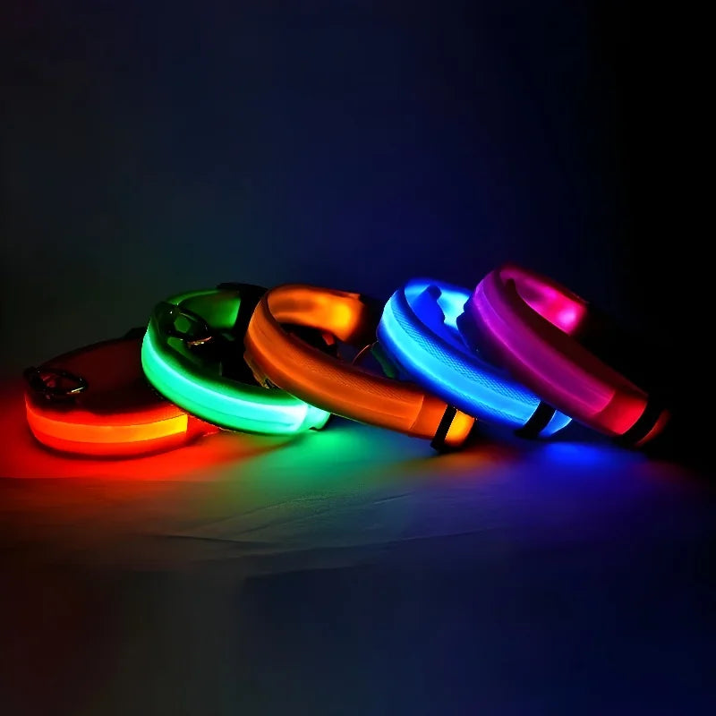 Stylish LED Dog Collar For Extra Nighttime Visibility