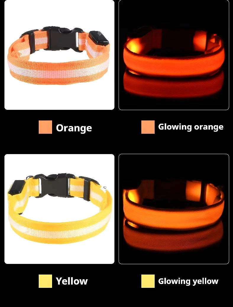 Stylish LED Dog Collar For Extra Nighttime Visibility