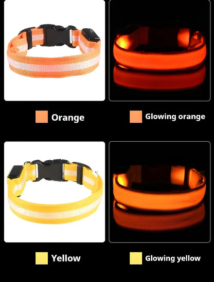 Stylish LED Dog Collar For Extra Nighttime Visibility