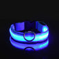 Stylish LED Dog Collar For Extra Nighttime Visibility