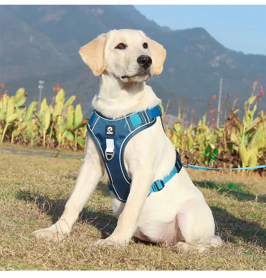 Durable Reflective Dog Safety Harnesses