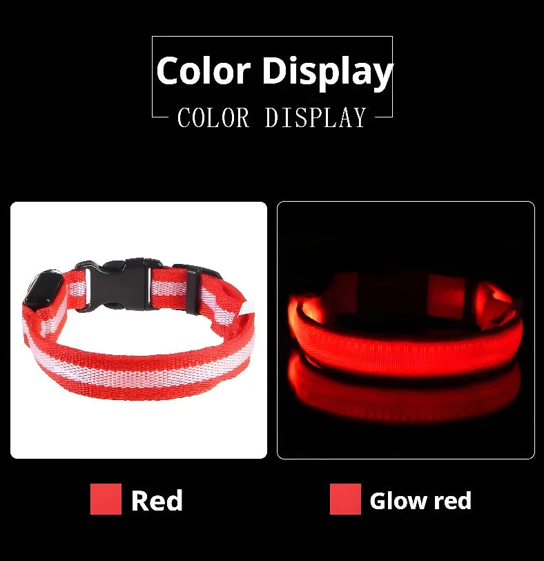 Stylish LED Dog Collar For Extra Nighttime Visibility