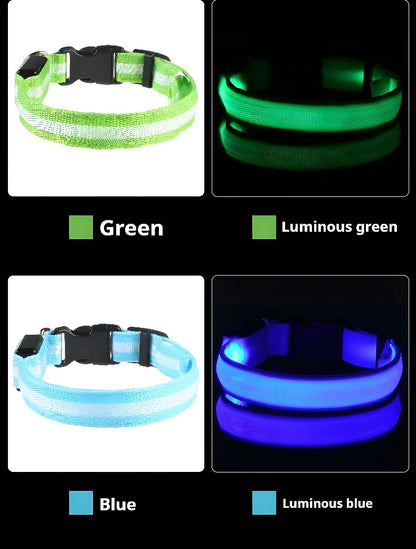 Stylish LED Dog Collar For Extra Nighttime Visibility