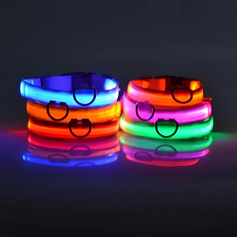 Stylish LED Dog Collar For Extra Nighttime Visibility