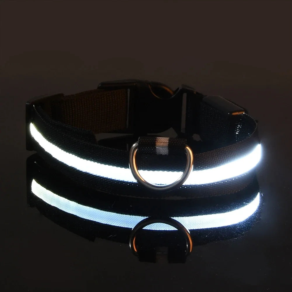 Stylish LED Dog Collar For Extra Nighttime Visibility