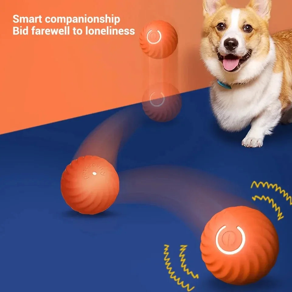 Smart Interactive Dog toy Ball Provides Unpredictable Fun