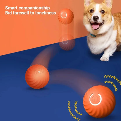 Smart Interactive Dog toy Ball Provides Unpredictable Fun