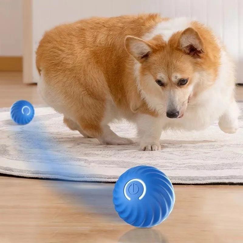 Smart Interactive Dog toy Ball Provides Unpredictable Fun