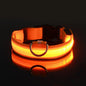 Stylish LED Dog Collar For Extra Nighttime Visibility