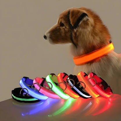 Stylish LED Dog Collar For Extra Nighttime Visibility