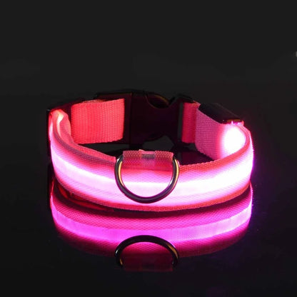 Stylish LED Dog Collar For Extra Nighttime Visibility