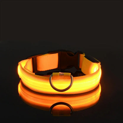 Stylish LED Dog Collar For Extra Nighttime Visibility