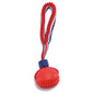 Sturdy Dog Teething Ball with Rope