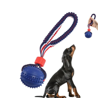 Sturdy Dog Teething Ball with Rope